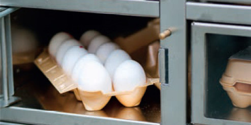 Tiebes Hofladen, Westerhausen